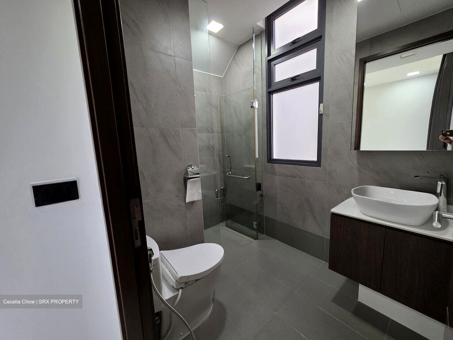 Wishart Road (D4), Condominium #519903631